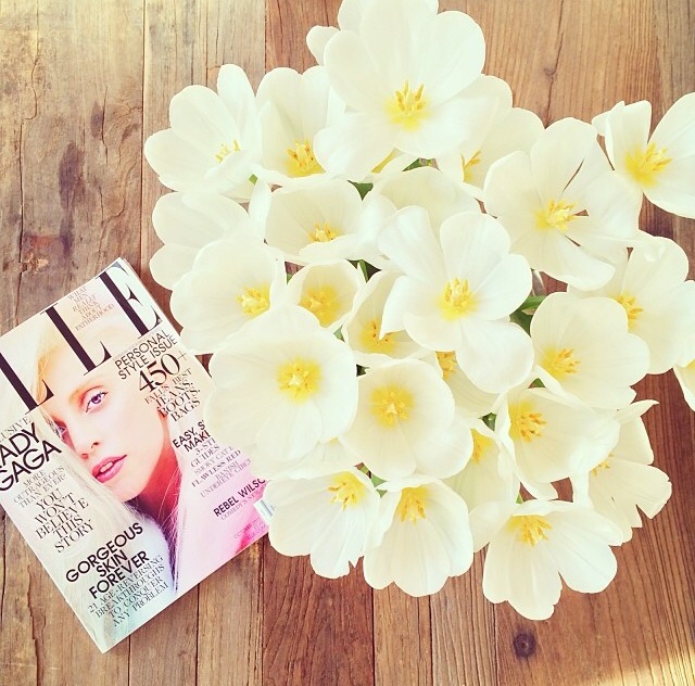flowers with fashion magazine