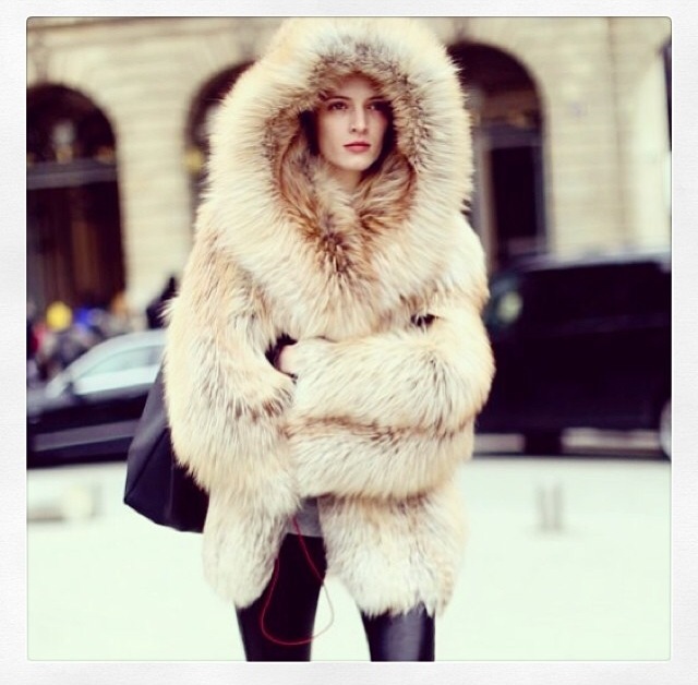 fur coat with hood